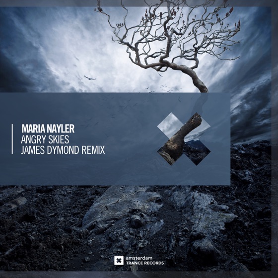 Cover artwork for Angry Skies