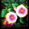 Silent Wandering (feat. Tenisha Edwards) - Andy Compton lyrics