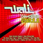 Wali Dance Mix 2011 artwork