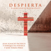 Padres de Schoenstatt: Despierta artwork