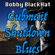 Gubment Shutdown Blues - Bobby BlackHat