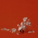 Song Therefore I Am by Billie Eilish on Therefore I Am - Single at Amazon