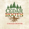 Cedar Roots