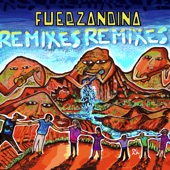 FuerzAndina (Remixes) artwork