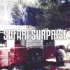 Safari Surprise song lyrics