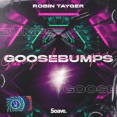 Goosebumps (feat. Young Jae) artwork