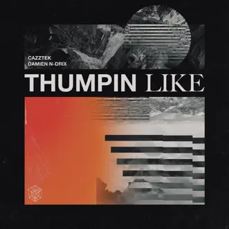 Thumpin Like by Cazztek & Damien N-Drix song reviws