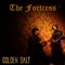 The Fortress (Medieval Rock Theme (Violin & Electric Guitar)) artwork