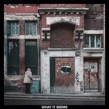 What It Seems artwork
