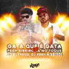 Stream & download Gata Que É Gata Vs Feeh Ribeiro no Toque (feat. Dj Feeh Ribeiro) - Single