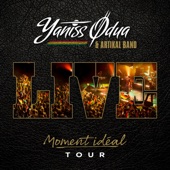 Moment Idéal Tour (Live) artwork