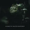 Sounds of Amazon Rainforest - EP album lyrics, reviews, download