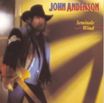 John Anderson - Let Go of the Stone