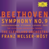 Symphony No. 9 in D Minor, Op. 125 "Choral": IV. Presto artwork