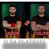 Culita Sterp - O Sa Platesti