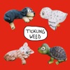 Tickling Weed - Single