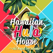 Hawaiian Hura House 〜old stand by Music〜 artwork