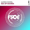 Sea of Sounds - Single