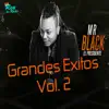 Grandes Éxitos, Vol. 2 album lyrics, reviews, download