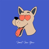 Fool For You artwork