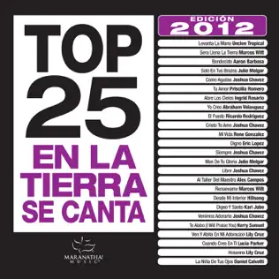 Album herunterladen Download Various - Top 25 En La Tierra Se Canta Edición 2012 album