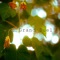 Throbber Barrons - Grand Duel lyrics