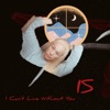 I Can't Live Without You - Single