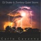 Dj Snake and Zomboy Quiet Storm - Carlo Cavanny lyrics