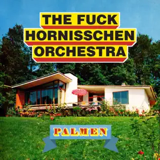 last ned album The Fuck Hornisschen Orchestra - Palmen