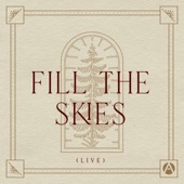 Fill the Skies (Live) artwork