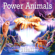 Power Animals - Niall