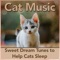 Feline Therapy - RelaxMyCat, Cat Music Dreams & Cat Music Therapy lyrics