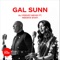 Gal Sunn (feat. Meesha Shafi) artwork