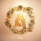 Gold (feat. Megan Lee) - Alawn lyrics