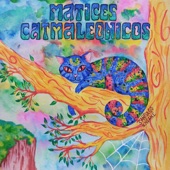 Matices Catmaleonicos artwork