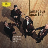 String Quartet No. 1 in D Major, Op. 11: III. Scherzo: Allegro Non Tanto - Trio artwork