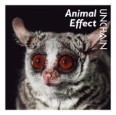 Animal Effect artwork