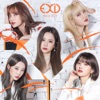 EXID