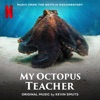 My Octopus Teacher (Music from the Netflix Documentary)