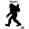 Stream & download Steppin (feat. Spectrum) - Single