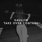 Take over Control artwork