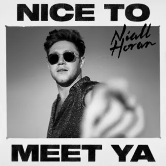 Nice to Meet Ya by Niall Horan song reviws