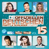 Die offiziellen deutschen Party & Schlager Charts, Vol. 15 artwork