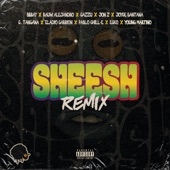 Sheesh (feat. Rauw Alejandro, Joyce Santana, C. Tangana, Eladio Carrión, Pablo Chill-E, ECKO & Young Martino) [Remix] artwork