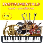 Instrumentals Maxi-Compilation 109 artwork