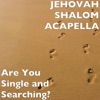 Are You Single and Searching? - Single