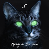 Dying on the Vine artwork