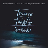 Tribute to Tomasz Stańko artwork