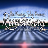 Runaway (Josh Goodwill Remix) artwork