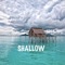 Shallow (feat. DENO) - Abida lyrics